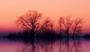 热血对决，球场风暴再度爆发