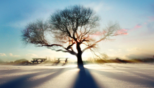 南非代表团射箭选手表现出色，力压对手进入四强